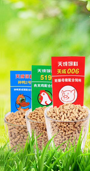 飼料產(chǎn)品
